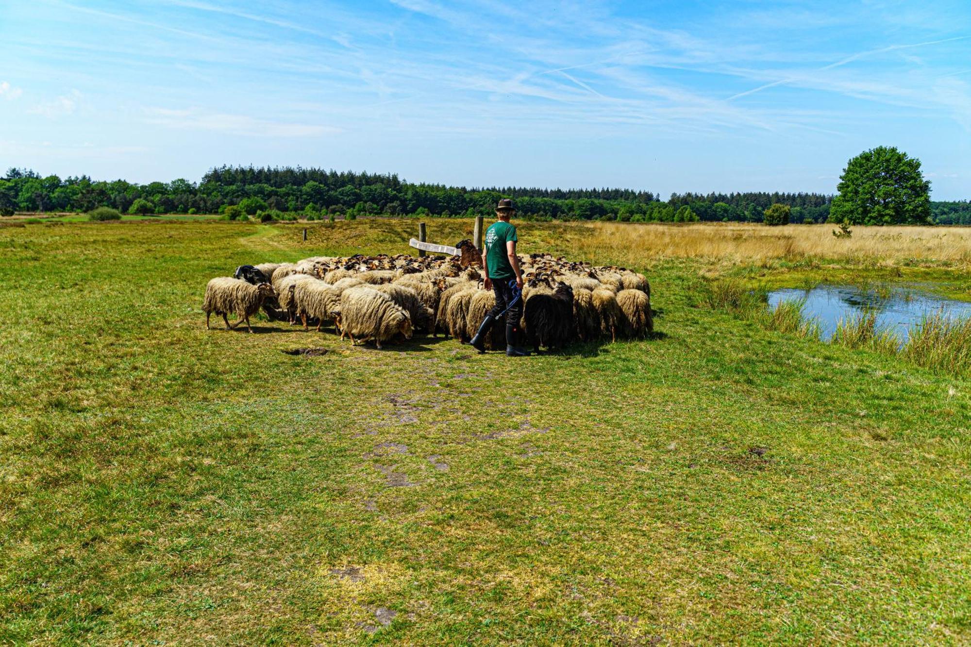 Mini Camping Drentse Monden Nieuw-Weerdinge Exterior foto